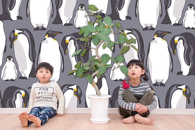 壁紙,印刷,オリジナル,貼り替え,作成,デザイン,インテリア,安い,賃貸,DIY,写真,簡単,スマホ,自分で,貼って,剥がせる,個人,リフォーム,住宅,生活,部屋,注文住宅,模様替え,自然,格安,再剥離,手持ち写真