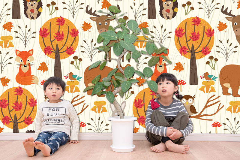 壁紙,印刷,オリジナル,貼り替え,作成,デザイン,インテリア,安い,賃貸,DIY,写真,簡単,スマホ,自分で,貼って,剥がせる,個人,リフォーム,住宅,生活,部屋,注文住宅,模様替え,自然,格安,再剥離,手持ち写真