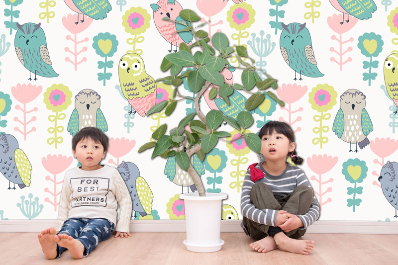 壁紙,印刷,オリジナル,貼り替え,作成,デザイン,インテリア,安い,賃貸,DIY,写真,簡単,スマホ,自分で,貼って,剥がせる,個人,リフォーム,住宅,生活,部屋,注文住宅,模様替え,自然,格安,再剥離,手持ち写真