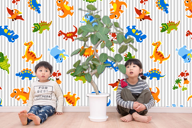 壁紙,印刷,オリジナル,貼り替え,作成,デザイン,インテリア,安い,賃貸,DIY,写真,簡単,スマホ,自分で,貼って,剥がせる,個人,リフォーム,住宅,生活,部屋,注文住宅,模様替え,自然,格安,再剥離,手持ち写真