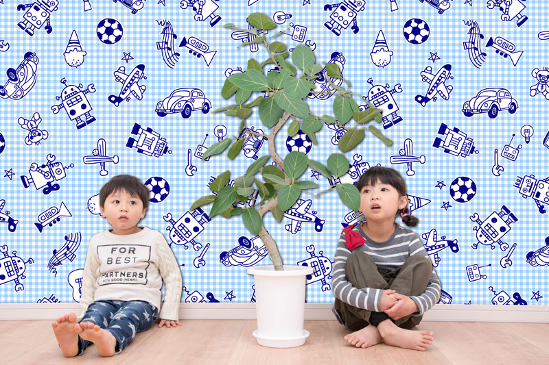 壁紙,印刷,オリジナル,貼り替え,作成,デザイン,インテリア,安い,賃貸,DIY,写真,簡単,スマホ,自分で,貼って,剥がせる,個人,リフォーム,住宅,生活,部屋,注文住宅,模様替え,自然,格安,再剥離,手持ち写真