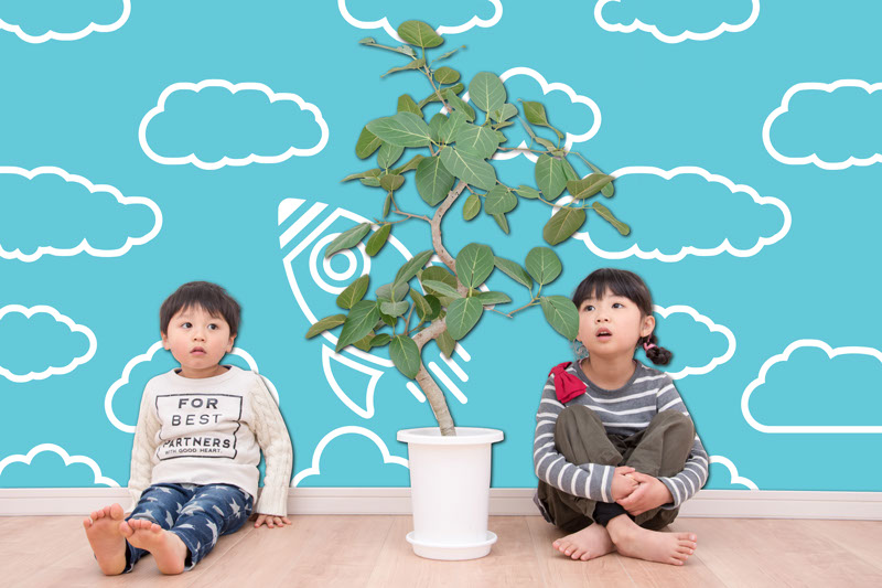 壁紙,印刷,オリジナル,貼り替え,作成,デザイン,インテリア,安い,賃貸,DIY,写真,簡単,スマホ,自分で,貼って,剥がせる,個人,リフォーム,住宅,生活,部屋,注文住宅,模様替え,自然,格安,再剥離,手持ち写真