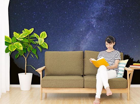 壁紙,印刷,オリジナル,貼り替え,作成,デザイン,インテリア,安い,賃貸,DIY,写真,簡単,スマホ,自分で,貼って,剥がせる,個人,リフォーム,住宅,生活,部屋,注文住宅,模様替え,自然,格安,再剥離,手持ち写真