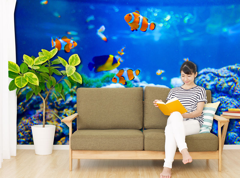 壁紙,印刷,オリジナル,貼り替え,作成,デザイン,インテリア,安い,賃貸,DIY,写真,簡単,スマホ,自分で,貼って,剥がせる,個人,リフォーム,住宅,生活,部屋,注文住宅,模様替え,自然,格安,再剥離,手持ち写真