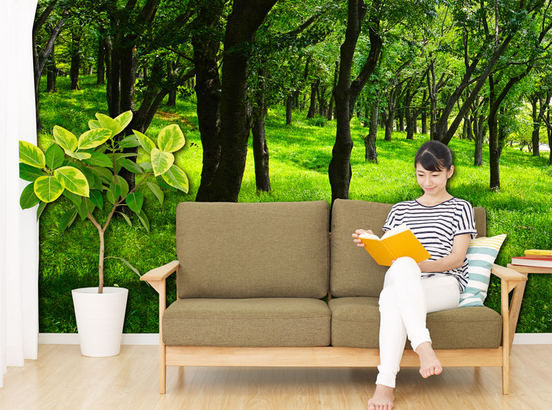 壁紙,印刷,オリジナル,貼り替え,作成,デザイン,インテリア,安い,賃貸,DIY,写真,簡単,スマホ,自分で,貼って,剥がせる,個人,リフォーム,住宅,生活,部屋,注文住宅,模様替え,自然,格安,再剥離,手持ち写真