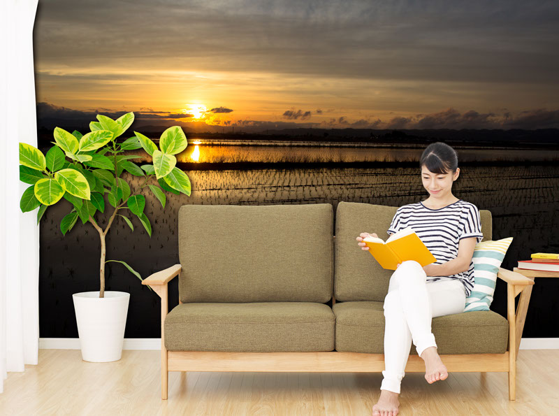 壁紙,印刷,オリジナル,貼り替え,作成,デザイン,インテリア,安い,賃貸,DIY,写真,簡単,スマホ,自分で,貼って,剥がせる,個人,リフォーム,住宅,生活,部屋,注文住宅,模様替え,自然,格安,再剥離,手持ち写真