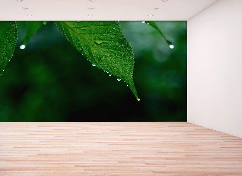 壁紙,印刷,オリジナル,貼り替え,作成,デザイン,インテリア,安い,賃貸,DIY,写真,簡単,スマホ,自分で,貼って,剥がせる,個人,リフォーム,住宅,生活,部屋,注文住宅,模様替え,自然,格安,再剥離,手持ち写真